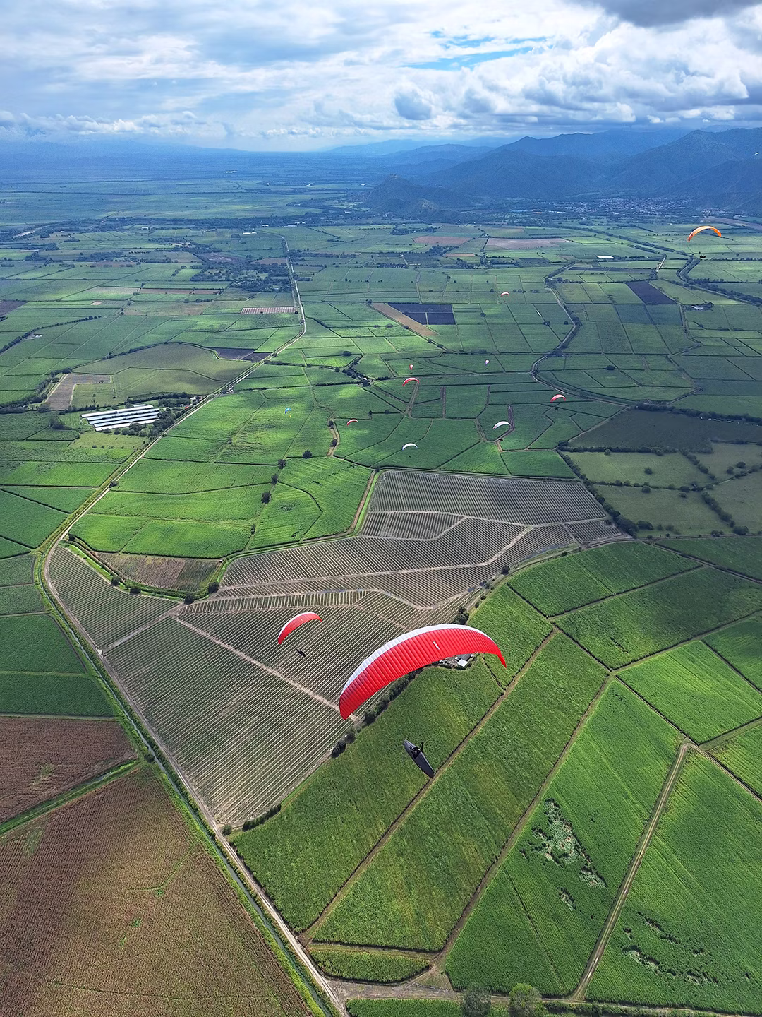 Gliding over the green flatland