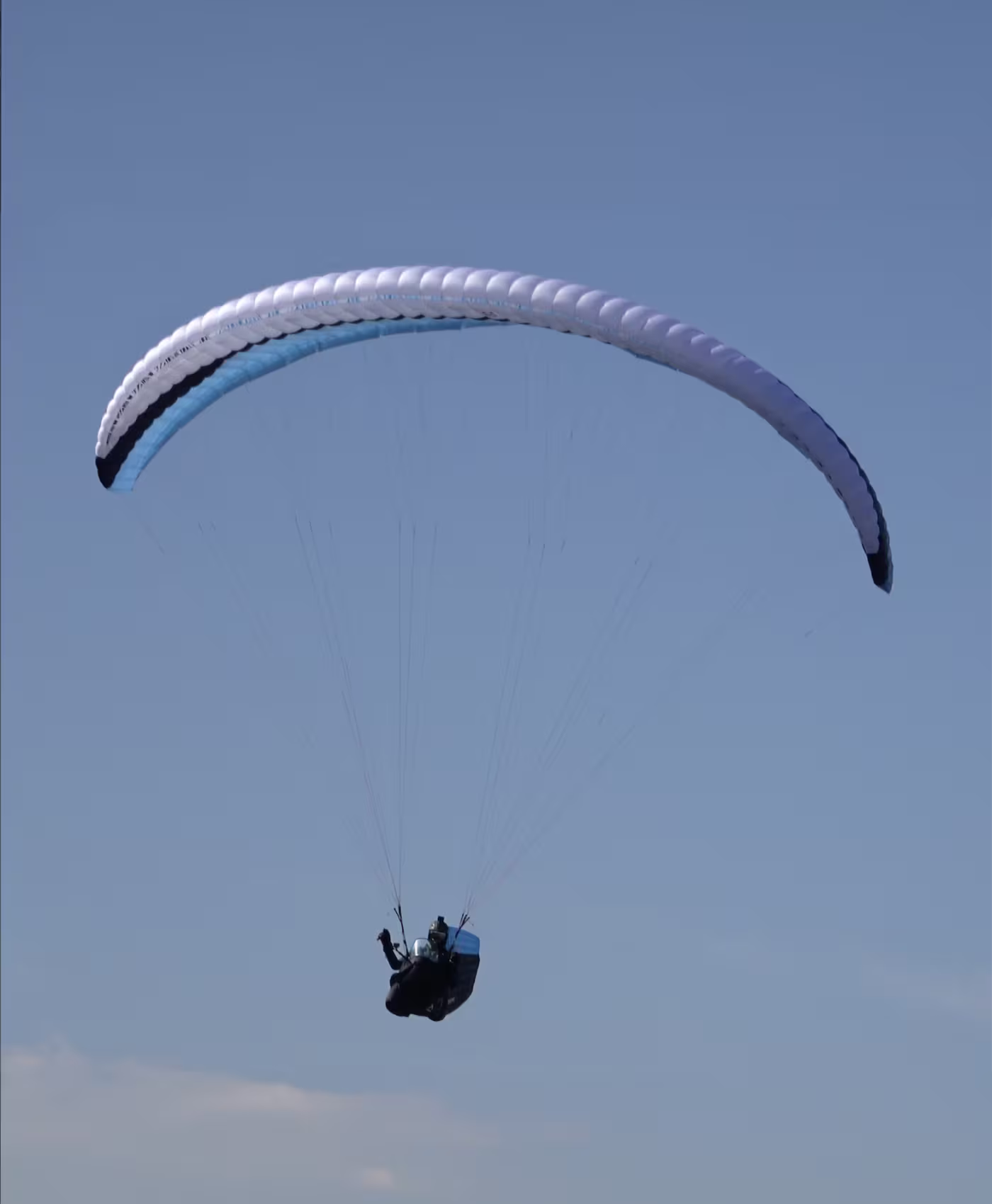 Bandit 2 Review by Ziad Bassil
 cover image