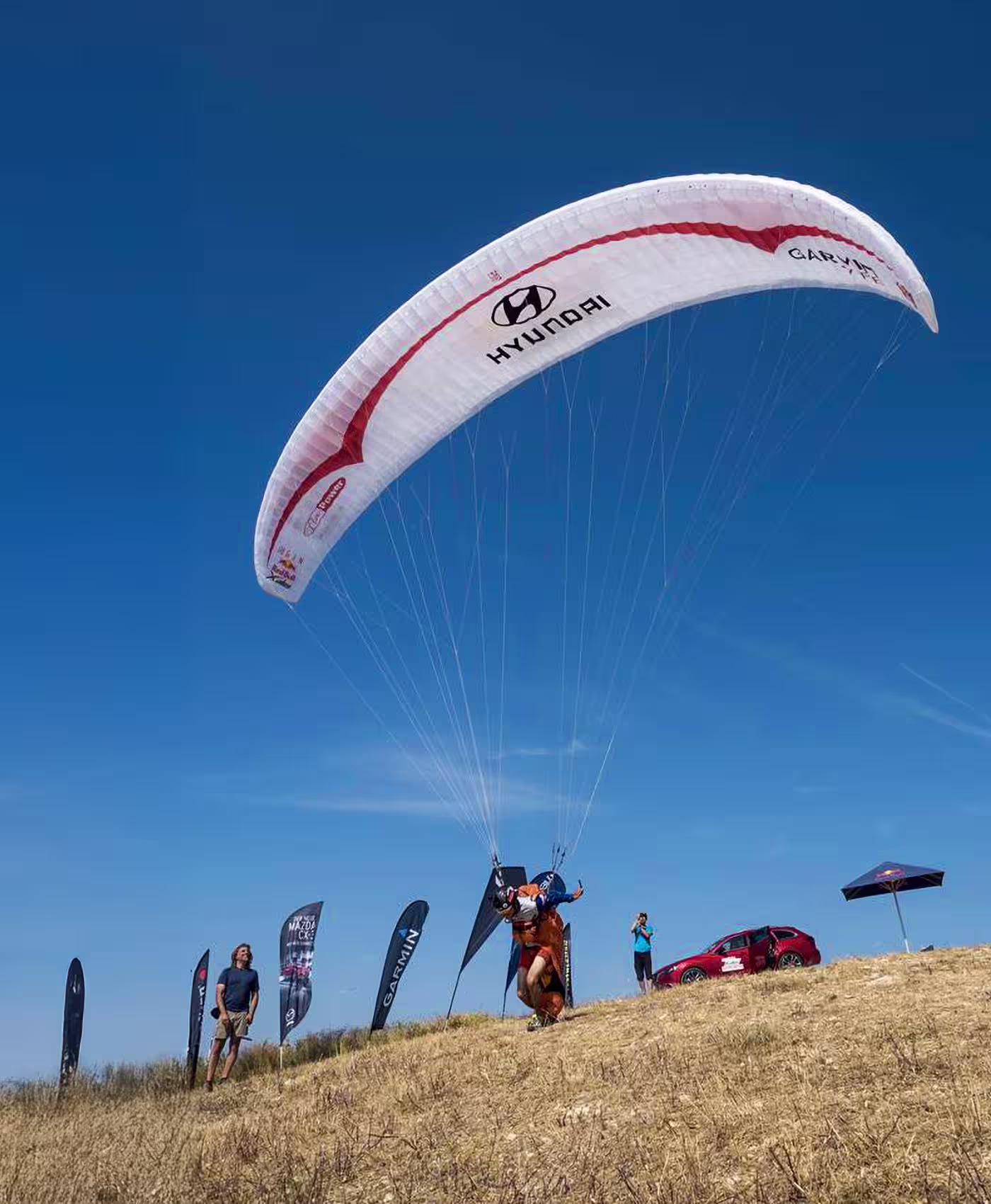 Chikyong Ha Hachi cover image