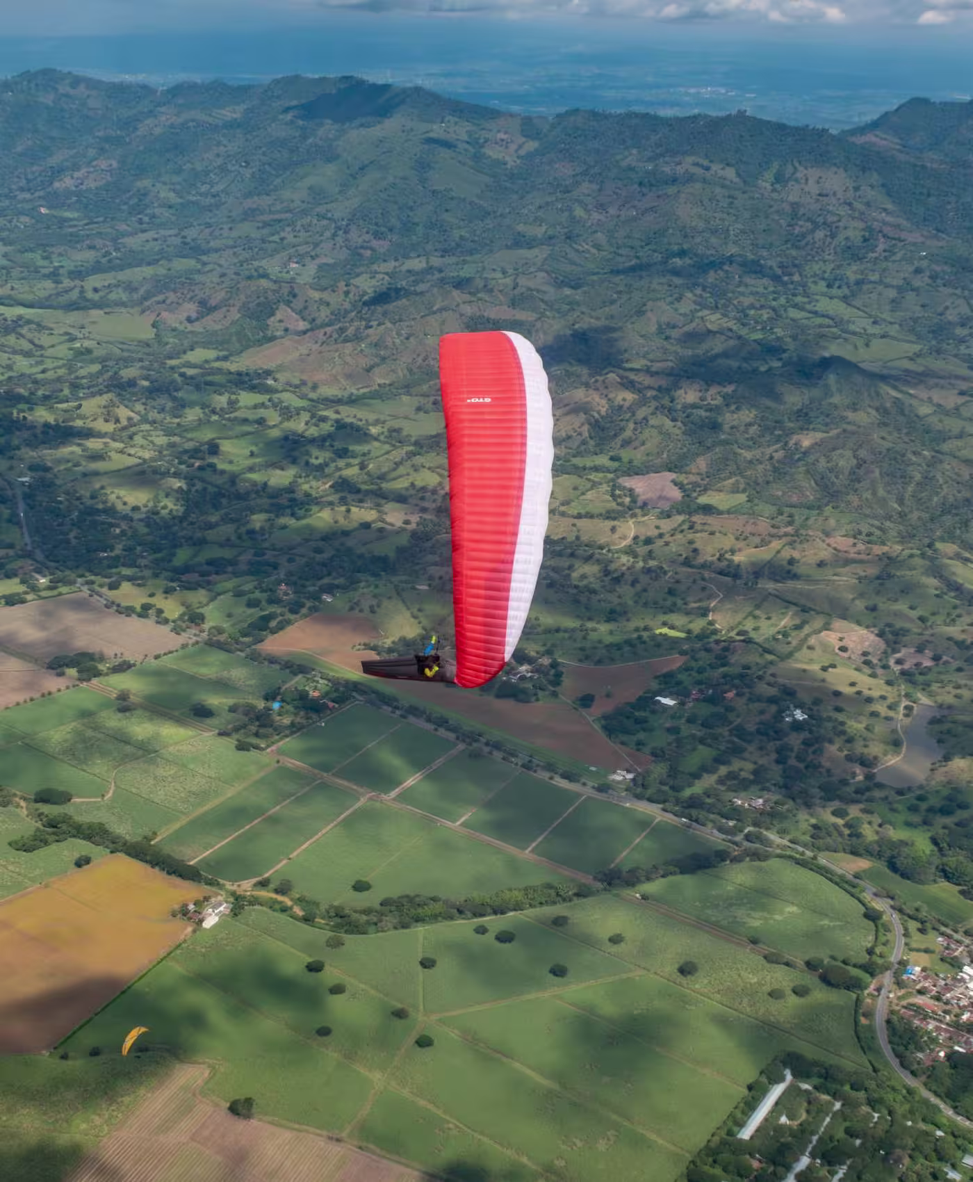 Simon Steiner cover image