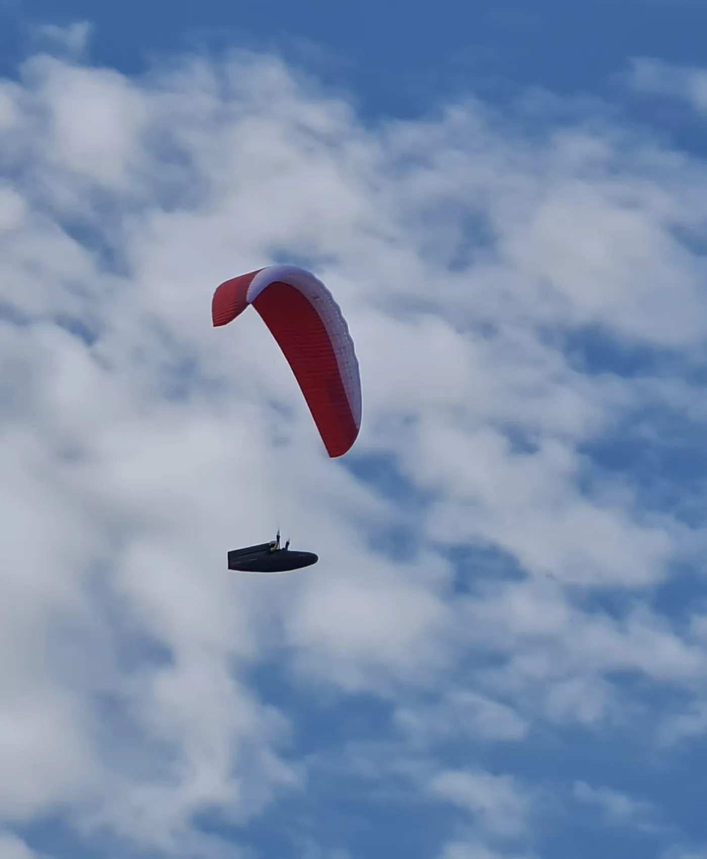 Tom Hogdkin cover image