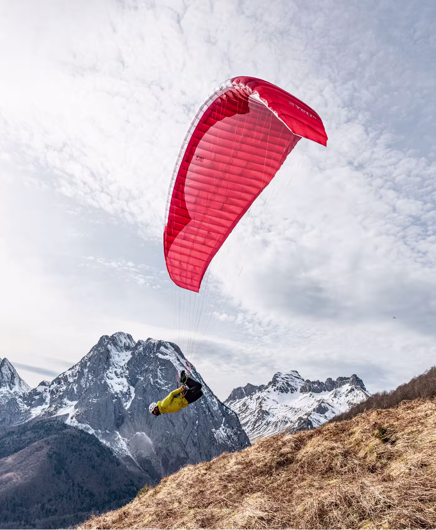 Yeray Gonzalez cover image