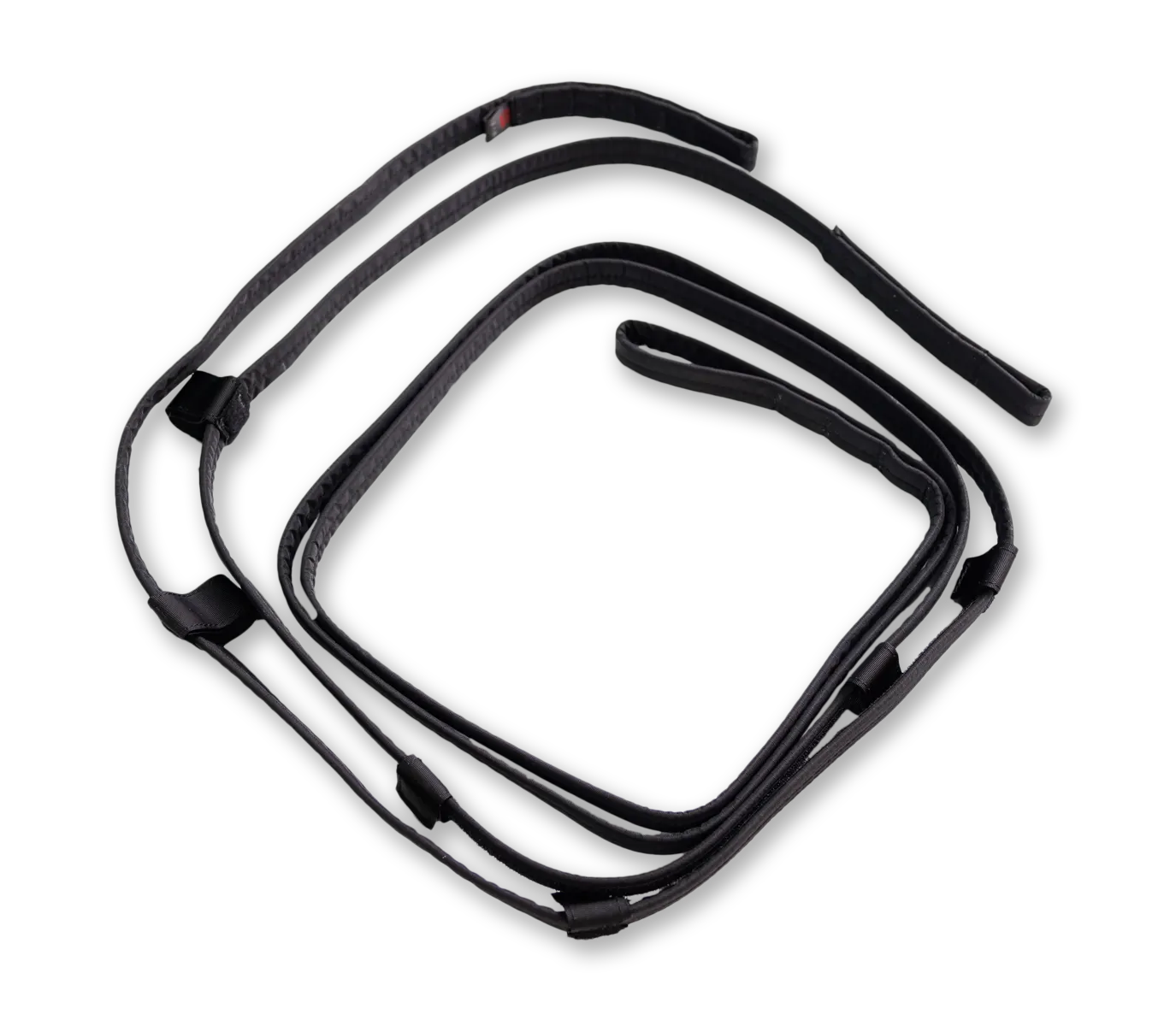Tandem rescue bridle