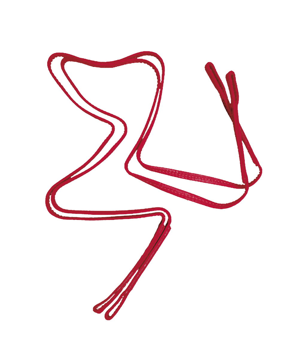 Yeti convertible bridle